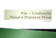 Pós-graduação em Direito Penal e Processual Penal · Sanção Penal No Brasil, o atual sistema de sanções é o SISTEMA VICARIANTE Por esse sistema, ou o agente tem uma pena ou