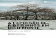 A EXPULSÃO DE RIBEIRINHOS200.144.182.130/iee/sites/default/files/BERMANN , Célio-Onde e de... · SUMÁRIO O ENGAJAMENTO MACIÇO Manuela Carneiro da Cunha INTRODUÇÃO - A VOZ DOS