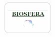 BIOSFERA - ESTE - peoplearaxa.com.br - BIOSFERA.pdf · A biosfera é a parte da Terra onde se encontram os ... e sua distribuição pela superfície terrestre. A ... dia aos cuidados