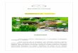 Informativo 16 - Paisagismo · O paisagismo compõe-se de 5 elementos: escolha e aplicação de espécies vegetativas nos ambientes; mobiliários ecológicos e sustentáveis (de bambu,