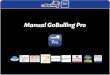 Manual GoBulling Pro 2010 - Banco Carregosa · da ordem (efectuada nos botões Comprador/Vendedor), irá aparecer uma janela que lhe ... Se subscreveu o serviço Profundidade de Mercado,