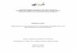 UNIVERSIDADE FEDERAL DE SÃO CARLOS CENTRO DE …sicbolsas.anp.gov.br/sicbolsas/Uploads/TrabalhosFinais/2010.4425-4/... · de superestruturas na mesma; avaliação da integração