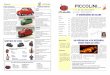 Página 8 PICCOLINI PICCOLINIPICCOLINI - fiatclassicos.com 7... · FIAT 126 de 1973 Contactar: ... • Verificar / corrigir pressão dos pneus, sem esquecer a roda ... • Lubrificar