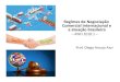 Regimes de Negociação Comercial Internacional e a atuação ... · PDF fileRegime de Negociação Comercial Internacional e a Atuação Brasileira Aulas 04 (02.03) e 05 (06.03) A