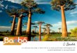 O Baobá é a árvore da vida, e tem em si a mais profunda ...floripamanha.org/wp-content/uploads/2016/09/Baoba-Praticas... · é a árvore da vida, e tem em si a mais profunda mensagem