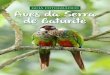GUIA FOTOGRÁFICO Aves da Serra rra de Baturitéaquasis.org/wp-content/uploads/2016/07/02-–Guia-Fotográfico-Aves... · Agradecemos a Weber Girão e Ciro Albano pelas valiosas contribuições
