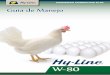 POEDEIRAS COMERCIAIS W-80 Guia de Manejo · Consumo de Ração para Dúzia de Ovos (20–100 semanas) 1,24–1,33 kg 1,49–1,60 kg Condição da Matéria Fecal Seca