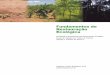 Fundamentos de Restauração Ecológica - LERFlerf.eco.br/img/publicacoes/2004_12 Fundamentos de Restauracao.pdf · por meio de fluxos bióticos e abióticos e interações culturais