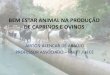 BEM ESTAR ANIMAL NA PRODUÇÃO DE CAPRINOS E OVINOSpecnordestefaec.org.br/2015/wp-content/uploads/2015/06/BEM-ESTAR... · DE CAPRINOS E OVINOS ... UNESCO Organização das Nações