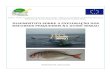  · Web viewPeixe- serra; Tubarões; Raias; Golfinhos. 6. As condições de acesso aos recursos pesqueiros O Decreto-Lei nº 10/2011 dispõe que para o exercício de pesca nas águas