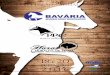 18 e 20 setembro 2016 - leilonorte.com · res. campeÃo nacional cavalo adulto de marcha - bh/mg 2006 jabuti da mandassaia x ciranda do trabanda galeão rrc res. grande campeÃo nacional