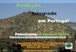 Produção Integrada em Portugal - Secretaria da ... · Introdução à Protecção das Plantas Fases da protecção de plantas em Portugal: ... => utilização de enxofre em 