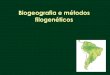Biogeografia e métodos filogenéticos - inicio [CEFA ao longo de uma árvore filogenética Métodos: Parsimônia Probabilísticos. ... radiação de vários grupos nas mesmas ilhas