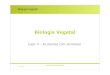 Biologia Vegetal - maloucao/Aula 17BV.pdf  Biologia Vegetal Biologia Vegetal Capt. V - As plantas