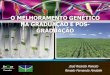 O MELHORAMENTO GENÉTICO NA GRADUAÇÃO E PÓS- … · Genética na Agropecuária ... Anatomia e Morfologia de Plantas Experimentação Agrícola ENSINO-PESQUISA Métodos de Experimentação
