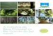 A Indústria de Base Florestal no - ageflor.com.brageflor.com.br/noticias/wp-content/uploads/2016/09/AGEFLOR-DADOS-E... · Figura 5.01 – Consumo de madeira in natura por gênero