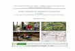 INVENTARIAÇÃO DE RECURSOS FLORESTAIS - Inventario Florestal · Pre-silvicultura Deplecção de recursosExploração ... Este conceito de ... se os planos de gestão florestal estão