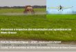 Panorama e impactos das intoxicações por agrotóxicos no ...petmedicina.com/wp-content/uploads/2017/02/CONCISA-e-agrotox... · •Adjuvantes (adesivos, solventes e surfactantes)