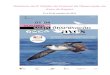 Relatório da 6ª Edição do Festival de Observação de Aves ...cms.cm-viladobispo.pt/upload_files/client_id_1/website_id_1... · Relatório da 6ªedição do Festival de Observação