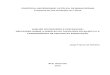 PONTIFÍCIA UNIVERSIDADE CATÓLICA DE MINAS GERAIS … · 3.7 - A análise do Discurso de Pêcheux e a Psicanálise de Freud e Lacan: controvérsias e aproximações em a forma-sujeito