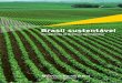 Brasil sustentável - webforms.ey.com · qualificar a concepção de desenvolvimento para o Brasil nas próximas décadas. Assim, este estudo considera tendências ... nos países