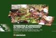 Panorama da segurança alimentar e nutricional na cidade de ... · Paulo coloca-se diante do espelho para observar as mudanças em sua Política de Segurança Alimentar e Nutricional