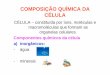 COMPOSIÇÃO QUÍMICA DA CÉLULA - sindcomteresina.com.brsindcomteresina.com.br/gerencia/material/COMPOSIÇAO_QUMICA_DA... · COMPOSIÇÃO QUÍMICA DA CÉLULA CÉLULA – constituída