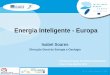 Energia Inteligente - Europa - CCDR Algarve | Comissão de ... · Questões relativas à rede eléctrica: ... bombas de calor e energia solar em edifícios ... Iniciativas integradas
