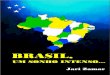BRASIL, A POTÊNCIA - rl.art.br · coletânea de propostas que pode servir de pontapé inicial para grandes mudanças no Brasil. Num estilo conversante e ao mesmo tempo provocador,