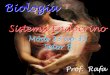 Apresentação do PowerPointcolegionomelini.com.br/midia/arquivos/2014/3/0663b8f8e...que mantém o corpo lúteo ativo Muito Estrógeno e Progesterona impede a menstruação e ovulação
