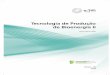 Tecnologia de Produção de Bioenergia II - Estúdio EaDestudio01.proj.ufsm.br/.../tecnologia_producao_bioenergia_ii.pdf · Tecnologia de Produção de Bioenergia II INSTITUTO FEDERAL
