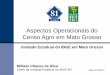 Aspectos Operacionais do Censo Agro em Mato Grosso · operação censitária. São 32 Subáreas em MT. Área Estrutura territorial do Estado composto por duas ou mais Subáreas, criada