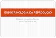ENDOCRINOLOGIA DA REPRODUÇÃO - ufpel.edu.br · Glândula pineal. Endocrinologia da Reprodução Glândulas Endócrinas Hipotálamo . Endocrinologia da Reprodução Glândulas Endócrinas