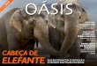 Oásis - brasil247.com · A tromba do elefante é um dos instrumentos mais comple-tos e fascinantes de todas as anatomias dos seres vivos que ... a predileção dos elefantes é sem