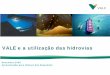 VALE e a utilização das hidrovias - ANTAQ - …web.antaq.gov.br/Portal/pdf/Palestras/ForumHidrovias2009/...Este projeto foi desenvolvido pela Vale antes da compra dos ativos da Rio