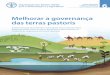 Melhorar a governance das terras pastoris - fao.org · em inglês) como uma voz credível dos pastores na esfera internacional tem sido inestimável para assegurar um elevado grau