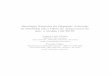 Simulação Numérica da Dispersão-Advecção de Pesticidas sob ...ainfo.cnptia.embrapa.br/digital/bitstream/item/181572/1/Paraiba... · Lista de Figuras 1 Simulação da concentração