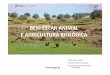BEM ESTAR ANIMAL E AGRICULTURA BIOLÓGICA · direÇÃo geral de alimentaÇÃo e veterinÁria. ... em ovinos, corte de bico 64/2000 e legislaÇÃo especÍfica- autorizado com ... intervenÇÕes
