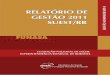 RELATÓRIO DE GESTÃO 2011 SUEST/RR - funasa.gov.br · pala UJ na modalidade de convênio, termo de cooperação e de contratos de repasse Quadro XXI – Visão geral da análise