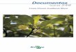 Cataia (Drymis brasiliensis Miers) .Empresa Brasileira de Pesquisa Agropecuria Embrapa Florestas