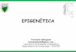 EPIGENÉTICA - Instituto de Matemática e Estatística · Genética não é espelho. Definição de Epigenética ... É uma forma de regulação epigenética que resulta na expressão