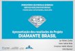 SUMÁRIO - cprm.gov.br · primeira mina de diamante em fonte primária do Brasil (Braúna 3). Vida útil 7 -12 anos = 13.5 Mton, 5 M cts, 21-45,5 cpht; Braúna 3 = 7.184 diamantes