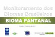 Brasília – Fevereiro de 2012 - Ministério do Meio Ambiente · Desmatamento no bioma Pantanal tendo como referência a área total do bioma de 151.313 km². Até 2002 (km²) 2002-2008
