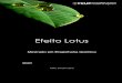 Efeito de lotus - paginas.fe.up.ptprojfeup/cd_2010_11/files/QUI601... · podem alcançar um ângulo de contacto de 170 º, o que resulta no contacto real de uma gota com a superfície