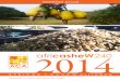 Newsletter - African Cashew Alliance · em todo o continente. Uma das decepções que vivemos em 2014 foi o lastimável cancelamento ... próximo Festival Mundial do Caju em 2015!