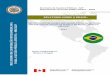 RELATÓRIO SOBRE O BRASIL - oas.org · mencionasse o marco jurídico existente que dá sustento a esta iniciativa, ... Esta seção insiste nas particularidades do modelo de função