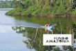 Fundo Amazônia É uma das principais iniciativas de - cbd.int · COFA: Diretrizes e Critérios para aplicação de recursos Criação AMA/BNDES Doação da Noruega, depois KFW e