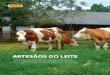 Artesãos do leite - simentalsimbrasil.org.brsimentalsimbrasil.org.br/imagens/editor/file/inforleite_34... · ras de Maristela, em 1996, produzindo queijo minas frescal. “Quando