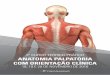 2º CURSO TEÓRICO-PRÁTICO ANATOMIA PALPATÓRIA COM ...§ão... · 4. Aprender a ... Reconhecimento e identificação de estruturas músculo-osteo-articulares 6. Coluna vertebral