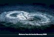 Motores fora-de-borda Mercury 2008 - Brunswick Marine in ...download.brunswick-marine.com/filereader/file/pdf/1/ptpt/... · Sendo o n.º 1 On The Water™ signifi ca liderança em